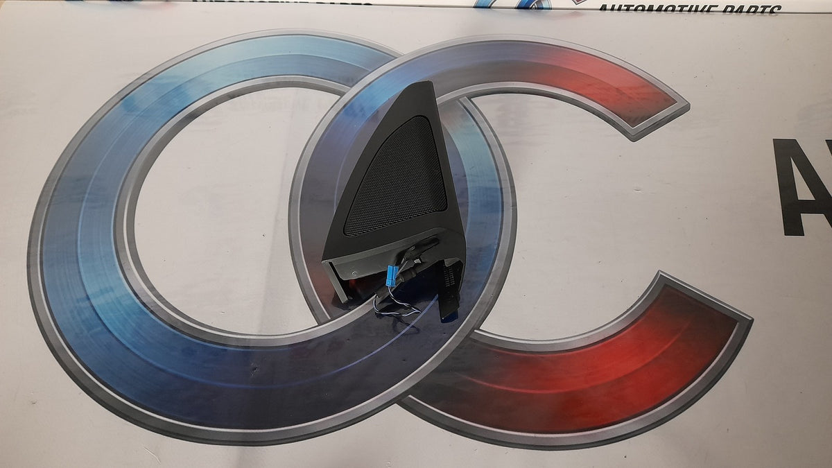 Original BMW X5 G05 X7 G07 Lautsprecherblende Tür vorne rechts 51339460500