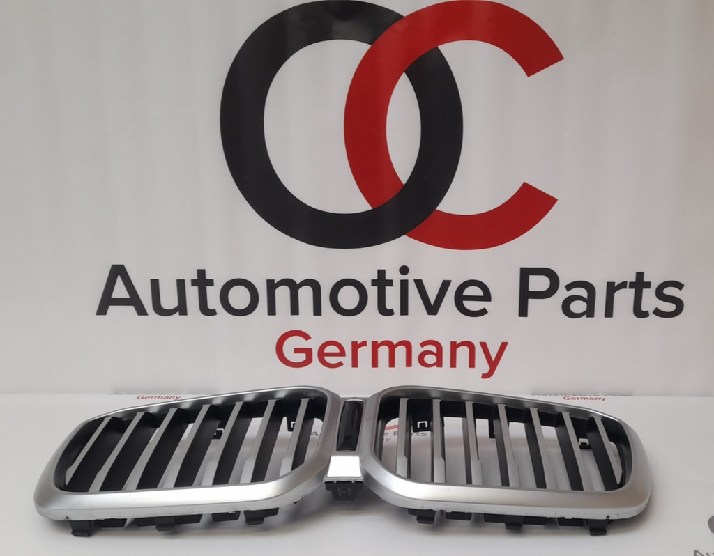 Original BMW X3 G01 G08 X4 G02 LCI Kühlergrill 51139881906
