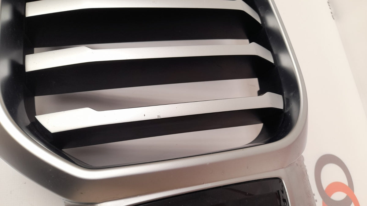 Original BMW X3 G01 G08 X4 G02 LCI Kühlergrill 51139881906