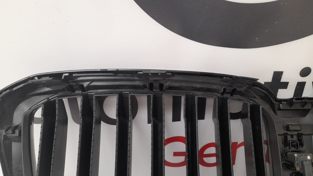 Original BMW X3 G01 G08 X4 G02 LCI Ziergitter 51135A1AC56 Grill mit Kamera