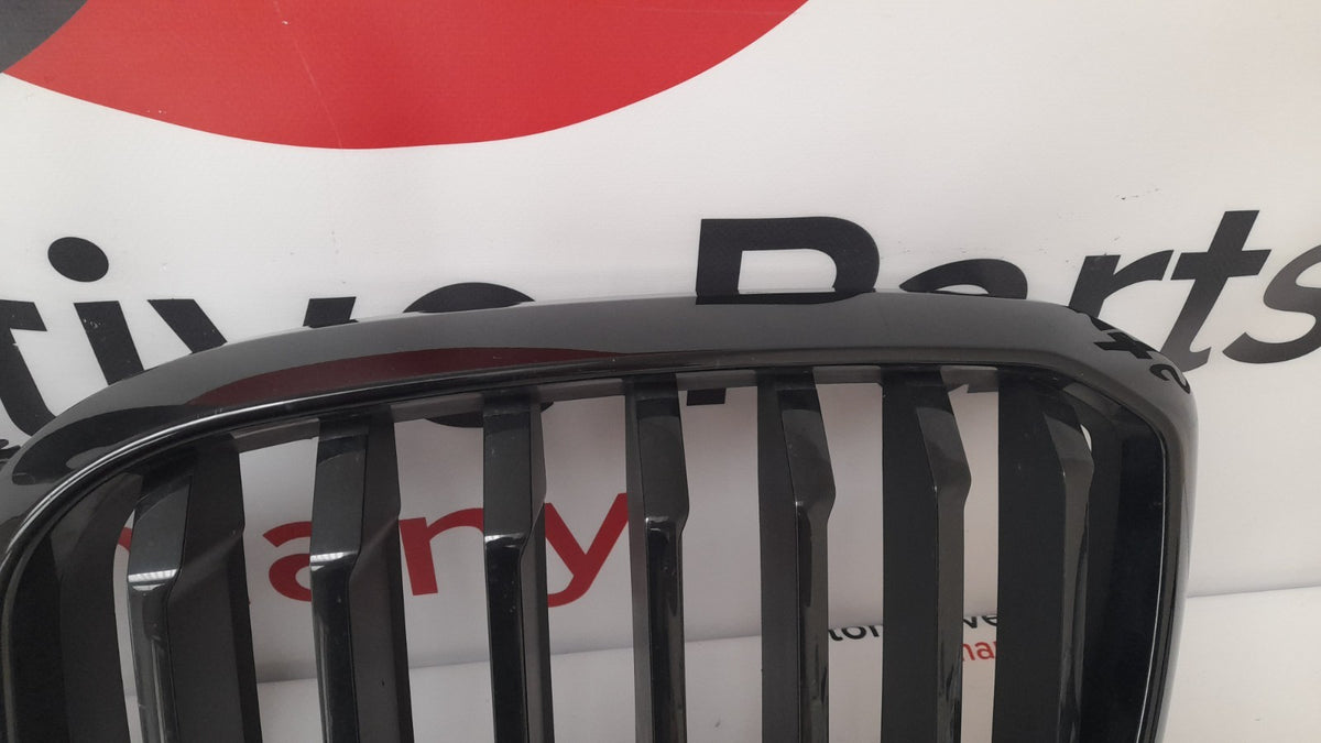 Original BMW X3 G01 G08 X4 G02 LCI Ziergitter 51135A1AC56 Grill mit Kamera