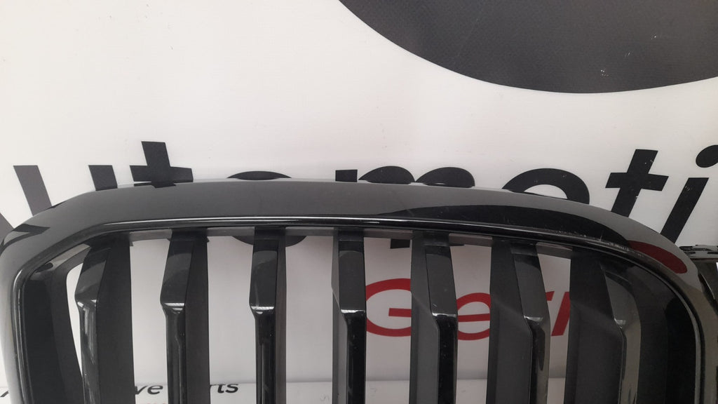 Original BMW X3 G01 G08 X4 G02 LCI Ziergitter 51135A1AC56 Grill mit Kamera