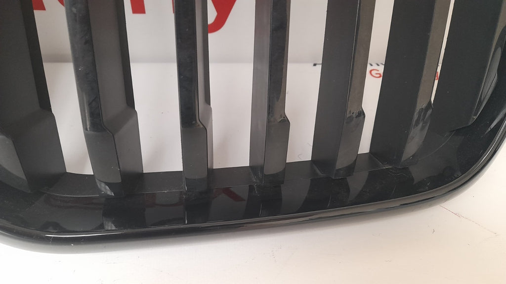 Original BMW X3 G01 G08 X4 G02 LCI Ziergitter 51135A1AC56 Grill mit Kamera