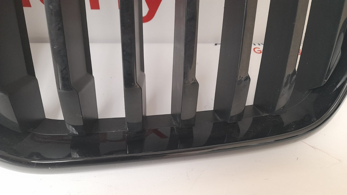 Original BMW X3 G01 G08 X4 G02 LCI Ziergitter 51135A1AC56 Grill mit Kamera