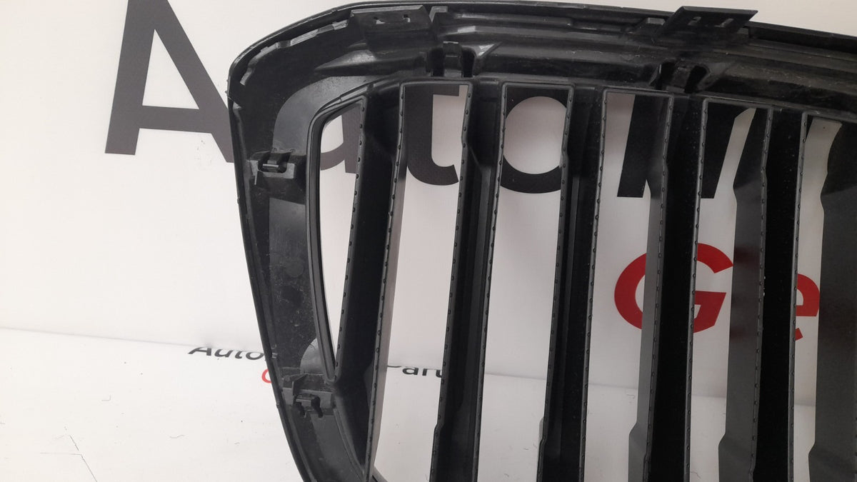 Original BMW X3 G01 G08 X4 G02 LCI Ziergitter 51135A1AC56 Grill mit Kamera
