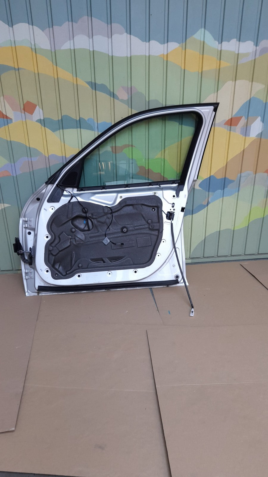 Original BMW  X1 E84 x Drive 18d Tür vorn rechts 41009628746 Door front right